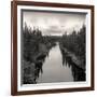 Roadside Labrador-Andrew Ren-Framed Art Print