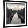 Roadside Labrador-Andrew Ren-Framed Art Print