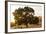 Roadside Oak-Lance Kuehne-Framed Photographic Print