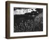 Roadside Pond, California, c. 1970-Brett Weston-Framed Photographic Print