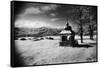 Roadside Shrine, Entrance to the Carpathian Mountains, Romania-Simon Marsden-Framed Stretched Canvas