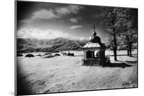 Roadside Shrine, Entrance to the Carpathian Mountains, Romania-Simon Marsden-Mounted Giclee Print