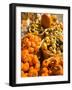 Roadside Vegetable Fruit Stand, The Hamptons, New York, USA-null-Framed Photographic Print