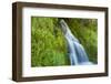 Roadside waterfall near Mt. Hood, Mt. Hood National Forest, Oregon-Stuart Westmorland-Framed Photographic Print