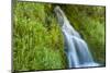 Roadside waterfall near Mt. Hood, Mt. Hood National Forest, Oregon-Stuart Westmorland-Mounted Photographic Print