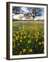 Roadside Wildflowers, Texas, USA-Larry Ditto-Framed Premium Photographic Print