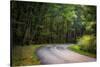 Roadway, Blue Ridge Parkway, Smoky Mountains, USA.-Anna Miller-Stretched Canvas