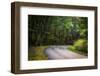 Roadway, Blue Ridge Parkway, Smoky Mountains, USA.-Anna Miller-Framed Photographic Print