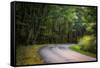 Roadway, Blue Ridge Parkway, Smoky Mountains, USA.-Anna Miller-Framed Stretched Canvas