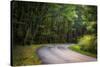 Roadway, Blue Ridge Parkway, Smoky Mountains, USA.-Anna Miller-Stretched Canvas