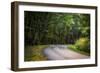 Roadway, Blue Ridge Parkway, Smoky Mountains, USA.-Anna Miller-Framed Photographic Print