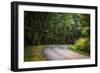 Roadway, Blue Ridge Parkway, Smoky Mountains, USA.-Anna Miller-Framed Photographic Print