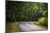 Roadway, Blue Ridge Parkway, Smoky Mountains, USA.-Anna Miller-Mounted Photographic Print