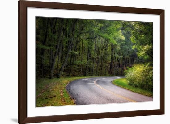 Roadway, Blue Ridge Parkway, Smoky Mountains, USA.-Anna Miller-Framed Photographic Print