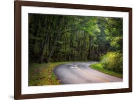 Roadway, Blue Ridge Parkway, Smoky Mountains, USA.-Anna Miller-Framed Photographic Print