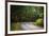 Roadway, Blue Ridge Parkway, Smoky Mountains, USA.-Anna Miller-Framed Photographic Print