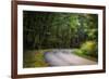 Roadway, Blue Ridge Parkway, Smoky Mountains, USA.-Anna Miller-Framed Photographic Print