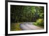 Roadway, Blue Ridge Parkway, Smoky Mountains, USA.-Anna Miller-Framed Photographic Print