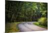 Roadway, Blue Ridge Parkway, Smoky Mountains, USA.-Anna Miller-Mounted Photographic Print