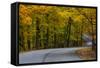 Roadway in Autumn in Brown County State Park, Indiana, USA-Chuck Haney-Framed Stretched Canvas