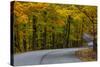 Roadway in Autumn in Brown County State Park, Indiana, USA-Chuck Haney-Stretched Canvas