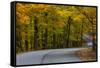 Roadway in Autumn in Brown County State Park, Indiana, USA-Chuck Haney-Framed Stretched Canvas