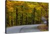 Roadway in Autumn in Brown County State Park, Indiana, USA-Chuck Haney-Stretched Canvas