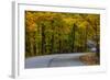 Roadway in Autumn in Brown County State Park, Indiana, USA-Chuck Haney-Framed Photographic Print