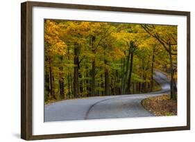 Roadway in Autumn in Brown County State Park, Indiana, USA-Chuck Haney-Framed Photographic Print