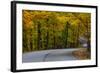 Roadway in Autumn in Brown County State Park, Indiana, USA-Chuck Haney-Framed Photographic Print