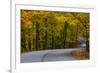 Roadway in Autumn in Brown County State Park, Indiana, USA-Chuck Haney-Framed Photographic Print