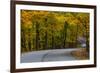 Roadway in Autumn in Brown County State Park, Indiana, USA-Chuck Haney-Framed Photographic Print