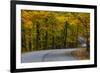 Roadway in Autumn in Brown County State Park, Indiana, USA-Chuck Haney-Framed Photographic Print