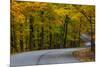 Roadway in Autumn in Brown County State Park, Indiana, USA-Chuck Haney-Mounted Photographic Print