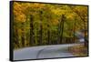 Roadway in Autumn in Brown County State Park, Indiana, USA-Chuck Haney-Framed Stretched Canvas