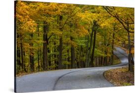 Roadway in Autumn in Brown County State Park, Indiana, USA-Chuck Haney-Stretched Canvas