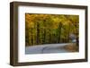 Roadway in Autumn in Brown County State Park, Indiana, USA-Chuck Haney-Framed Photographic Print