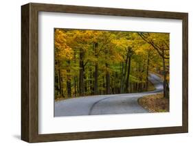 Roadway in Autumn in Brown County State Park, Indiana, USA-Chuck Haney-Framed Photographic Print