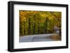 Roadway in Autumn in Brown County State Park, Indiana, USA-Chuck Haney-Framed Photographic Print
