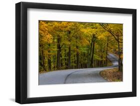 Roadway in Autumn in Brown County State Park, Indiana, USA-Chuck Haney-Framed Photographic Print