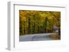 Roadway in Autumn in Brown County State Park, Indiana, USA-Chuck Haney-Framed Photographic Print