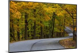 Roadway in Autumn in Brown County State Park, Indiana, USA-Chuck Haney-Mounted Photographic Print