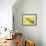 Roadway in Canola Field, Eastern Washington, USA-Darrell Gulin-Framed Photographic Print displayed on a wall