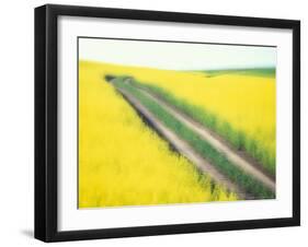 Roadway in Canola Field, Eastern Washington, USA-Darrell Gulin-Framed Photographic Print