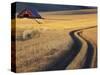 Roadway Through Wheat to Barn, Near Moscow, Idaho, USA-Darrell Gulin-Stretched Canvas