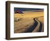 Roadway Through Wheat to Barn, Near Moscow, Idaho, USA-Darrell Gulin-Framed Photographic Print