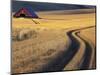 Roadway Through Wheat to Barn, Near Moscow, Idaho, USA-Darrell Gulin-Mounted Photographic Print