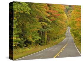Roadway Through White Mountain National Forest, New Hampshire, USA-Adam Jones-Stretched Canvas