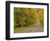 Roadway Through White Mountain National Forest, New Hampshire, USA-Adam Jones-Framed Photographic Print