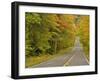 Roadway Through White Mountain National Forest, New Hampshire, USA-Adam Jones-Framed Photographic Print